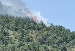 Ankara'da orman yangını