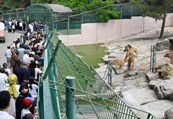 Gaziantep Doğal Yaşam Parkı'nı, Kurban Bayramı'nda yaklaşık 90 bin kişi ziyaret etti