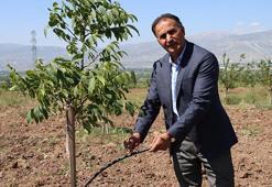 Erzincan'da öğretim üyesi çorak araziyi tarıma kazandırdı! İşte akıllara durgunluk veren yöntem