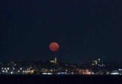 İstanbul'da 18 yıl sonra görüntülendi! Görenleri mest etti