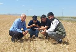 Konya'da üreticiler kara kara düşünüyor! 50 bin lira ödeme yaptılar, tarlada sıfıra düştü