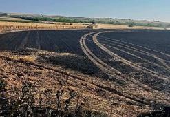 Kırklareli'nde 30 dönüm buğday alanı kül oldu