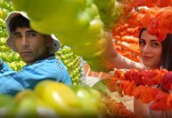 Gaziantep mutfağının vazgeçilmezi, dünyanın tercihi oldu! 15 günde oluyor, 150 liraya kapış kapış gidiyor