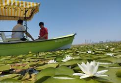 Köylü hazine üzerinde geziyor! Şehir merkezine 120 km uzakta bulundu: Turist akını var:
