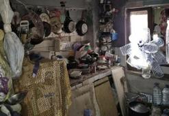 Kötü koku gelen bir evden 4 kamyon çöp ile 12 kedi ve 3 kaplumbağa çıktı