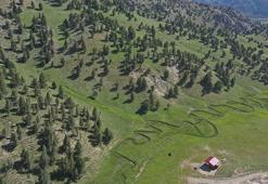 200 bin dönümlük araziyi kapsıyor! Türkiye'nin 50. milli parkı oldu! Kentte büyük sevinçle karşılandı