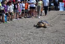 Ağır yaralı bulunan deniz kaplumbağası sağlığına kavuşup Akdeniz'e bırakıldı