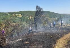Uşak'ta ağaçlık alanda çıkan yangın söndürüldü