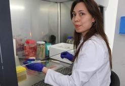 Geleneksel turşular bilime konu oldu! Bitki hastalıklarına çare olacak