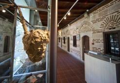 Lületaşı Müzesi (Kurşunlu Külliyesi içinde)