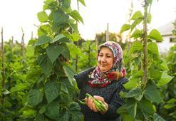 Eskişehir çiftçisine destek ödemesi yapıldı! Paralar hesaplara yatırıldı