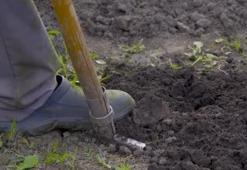 Konya sınırında hazine buldu! Dağlık arazide keşfedip topladı: Müzeye götürünce değerini öğrendi