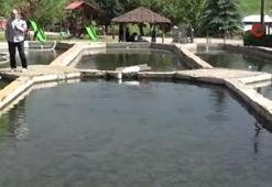 Denize kıyısı olmayan Sivas'ta üretilen balıklar dünyaya ihraç ediliyor