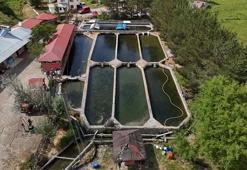 Denize kıyısı yok ama Norveç somonlarını geride bırakıyor! Dünyaya pazarlanıyor