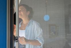 Sıcaklar arttı, sivrisinekler çoğalmaya başladı! Adanalılar sineklik taktırmak için kuyruğa girdi