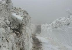 Kar yağışları sonrası haziran ayında zorlu mücadele başladı! İl Özel İdaresi ekipleri çalışmalara başladı