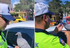 Erzincan’dan yürek ısıtan görüntüler... Valilik paylaştı, sosyal medyada viral oldu