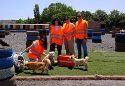 A Milli Basketbol Takımlarının attığı her sayı 5 kilo mama olacak