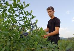 Düzce'de genç girişimciden örnek proje: 22 yaşında kendi bahçesini kurdu, şimdi 15 ton hasat bekliyor