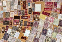 Antalya'da hasat bitti halılar serildi! 'Halı tarlaları' aylarca böyle kalacak