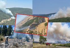 Dört bir yanda peş peşe yangın çıktı! Ekiplerin müdahalesi sürüyor