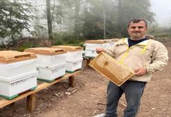 8 yıl önce olur mu diye başladı! 1000 metre yüksekte üretti: Avantajını sonradan gördü