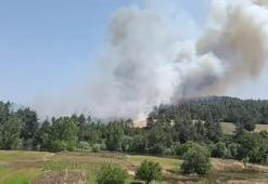 Bursa'da korkutan yangın: Taş ocakları mevkine karadan ve havadan müdahale