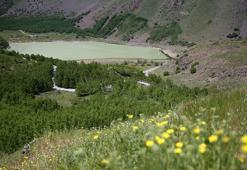 Avrupa'da en seçkin yer seçildi! Bitlis'te gören akın ediyor: