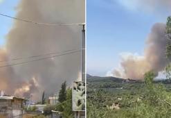 Adana'nın Çukurova ilçesinde orman yangını!