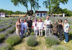 Girişimci kadından lavantalı un helvası: Sinop'ta üretildi