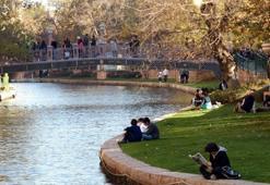 Eskişehir'de 21-22 Haziran tarihlerinde ücretsiz olacak