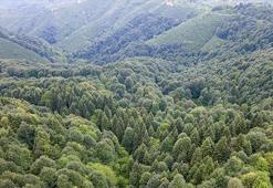 Samsun’da harekete geçildi! Valilik yeni kararı açıkladı, girişler yasaklandı