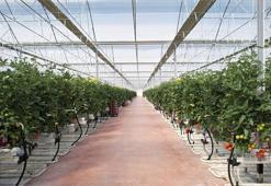 Altun Gıda, Karya Doğal Tarım Üretim ve Seracılık’ı satın aldı