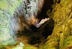 Adıyaman'da gizli mağara keşfedildi! 3 ayrı girişi var, sadece 150 metre gittiler, gizemi çözülemedi