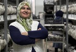 Ev hanımıyken patron oldu! Hataylı katın 53 yaşında üretime başladı, servet sahibi oldu, şimdi köyünde istihdam sağlıyor