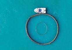 Karadeniz'den dünyaya ihraç ediliyor! Yılın ilk 5 ayında 160 milyon dolar ülkeye girdi