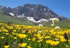 Yerli ve yabancı turistlerin yeni rotası! İki il arasında saklı cennet, dört mevsim bir arada