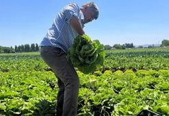 Eskişehir'de tarladan tezgaha fiyatı tam 10 kat artıyor! Üreticiler isyan etti: 'Bu soygun durmalı'