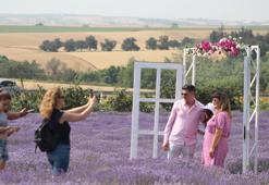 İstanbul'a 1, 5 saat uzaklıkta: Ziyaretçiler akın ediyor! Doğa ve fotoğraf tutkunlarının yeni adresi oldu
