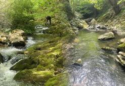 Akın akın ziyaretçi çekiyor: İznik Sansarak Kanyonu İstanbulluların akınına uğruyor!