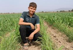 Yaşıtları sanal alemde Aydınlı Muhammet tarlada! Tek başına 300 dönüm araziyi işliyor