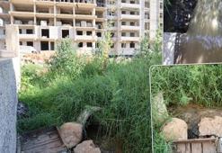 Adana Kozan'da skandal çevre katliamı! Atık suların Kilgen Çayı'na akıtıldığı ortaya çıktı! Mahalleli isyanda