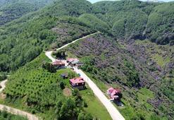 Yatağa bağımlı meslektaşının yayla hasretini drone görüntüleriyle dindirdi! Trabzon yaylaları drone ile yatağına geldi!