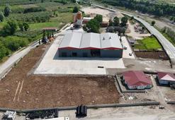 Ordu'da fındığın kabuğunu paraya çevirecek proje başlıyor! Üretici Fındıktan ayrı kabuktan ayrı kazanacak