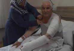 Van’da kurt musallat oldu: Kafasına vurdum, köyde iki kadına daha saldırdı