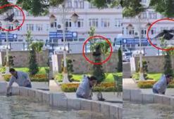 Tokat'ta şaşlıklık veren olay! Yavru kargayı kurtarmak istedi, diğer karganın saldırısıyla hastanelik oldu