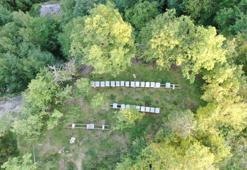 Tam bir antioksidan, azı sağlık fazlası zehir oluyor! Kilosu 3 bin liradan satışa sunuluyor