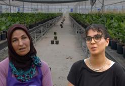 Adanalı kadınlar için istihdam fırsatı! Aile bütçelerine katkı sağlıyorlar