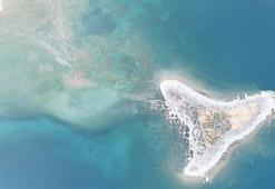 Tatvan sahilinde şaşırtan görüntü: Sular çekilince ortaya çıktı! İşte sebebi...