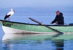 Yaren leyleğin yavrularına uydu vericisi takıldı: Göç rotaları anbean takip edilecek